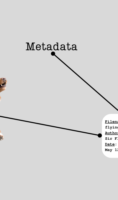 How you streamline content creation with metadata￼